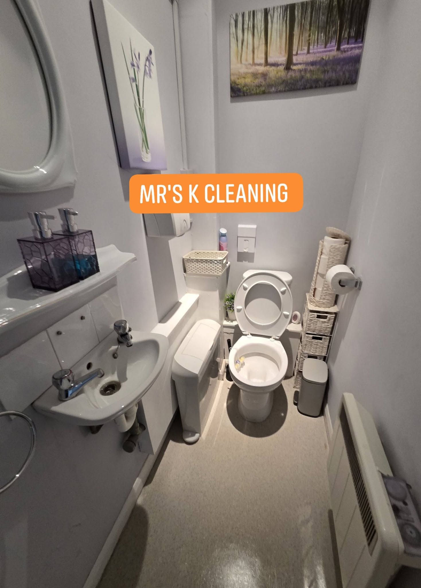 Organised bathroom with toilet, sink and storage