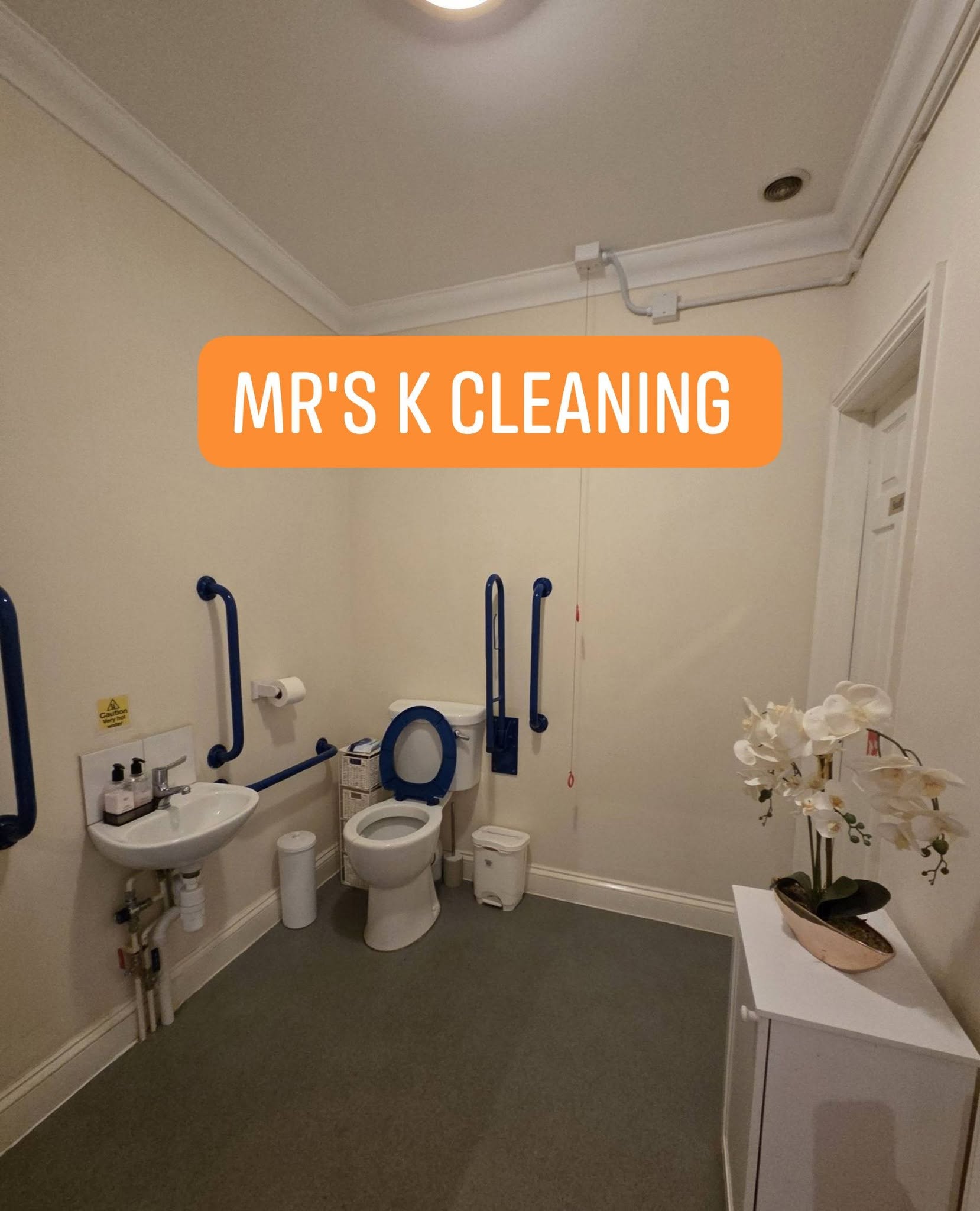 Accessible bathroom with safety rails