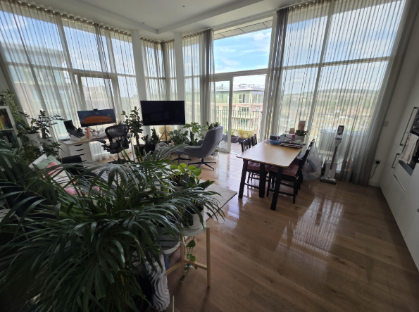 🏠 Domestic Cleaning